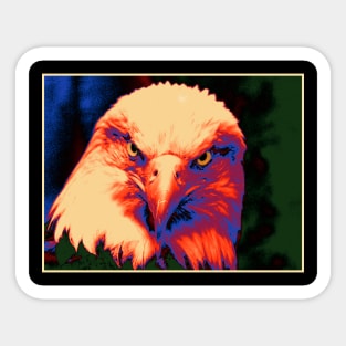 Eagle Head Pop 5 Sticker